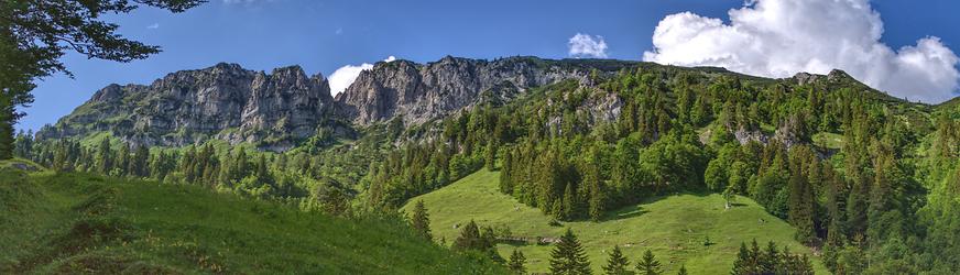 Grabneralm gegen Jungfernscharte und Grabnerstein