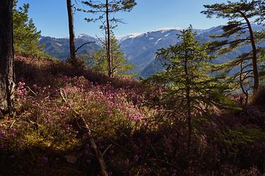 Blick zur Gleinalpe