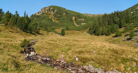 Die vereinigten 'Siebenbründl' versorgen den Feistritzbach