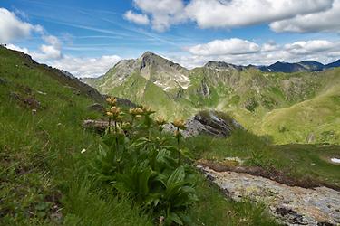 Bild '13-Schoberspitze'