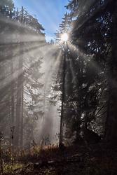 Am Teichenegg siegte endlich die Sonne über den hartnäckigen Talnebel