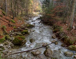 Der Wörschachbach oberhalb der Klamm