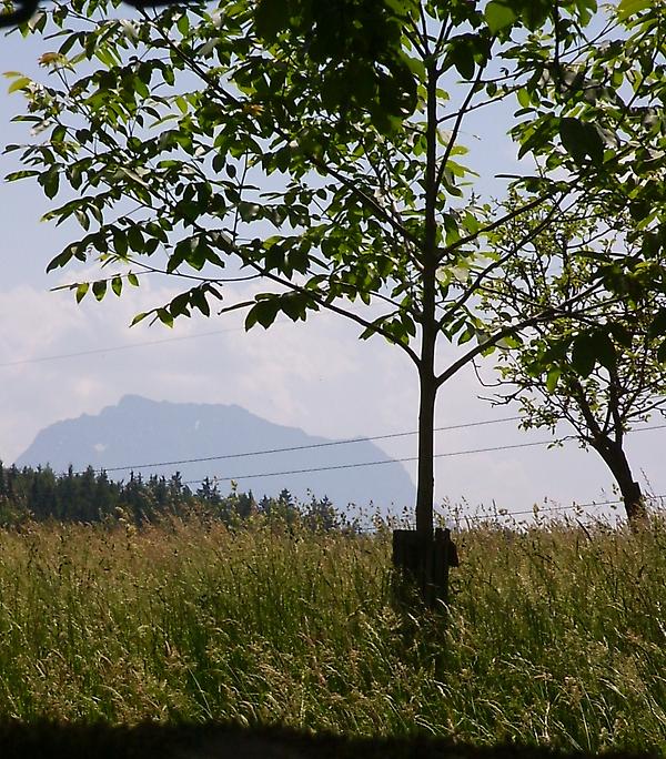 haus09traunstein blick.JPG