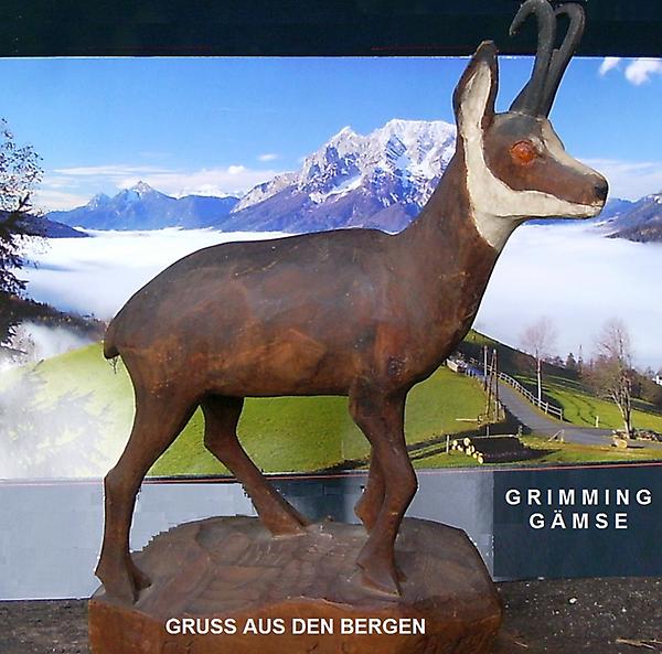 Tiere Grimming Gams20090915af.jpg