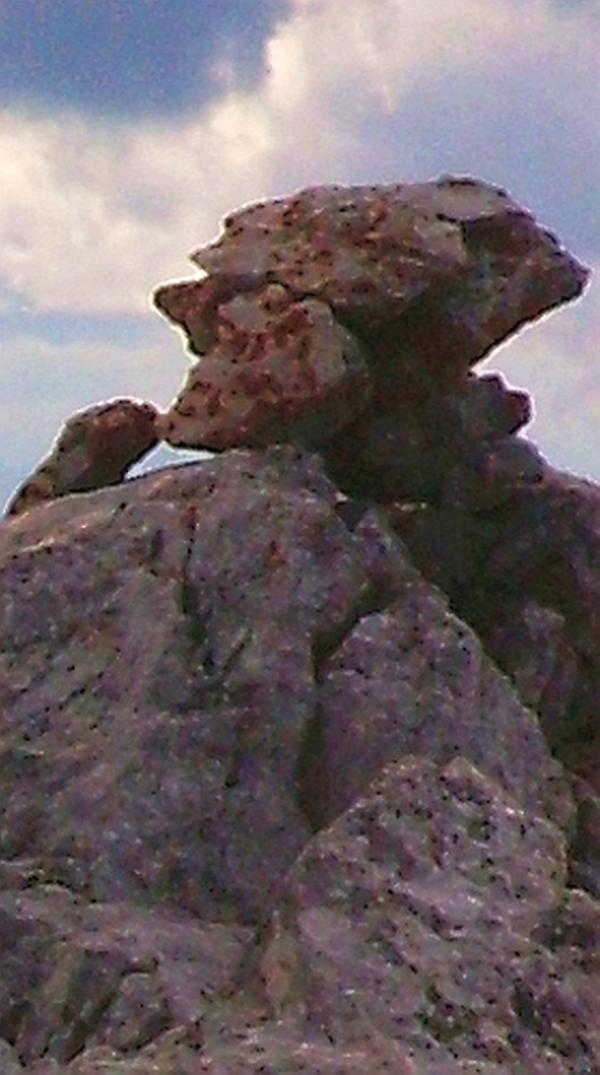 Schartenspitze Frauenkopf Detail 2008 af.jpg