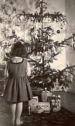 Christbaum. Wien 1957. Foto: Alfred Wolf