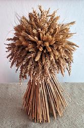 Foto: Doris Wolf, 2026