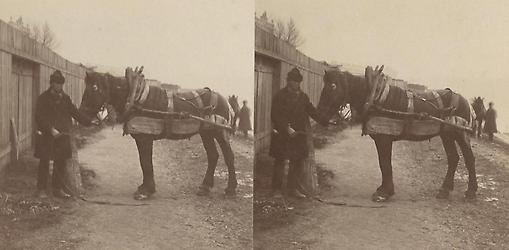 Diorama-3D-Bilder um 1900