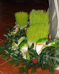 Lucienweizen in der Kirche Am Hof, Foto: Doris Wolf 2013