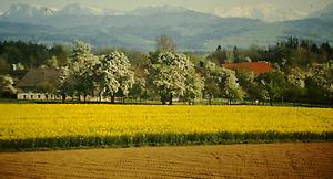 Kremsmünster_Alpenblick