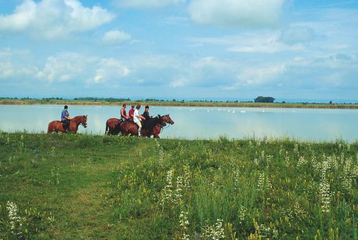 Nationalpark Neusiedler See