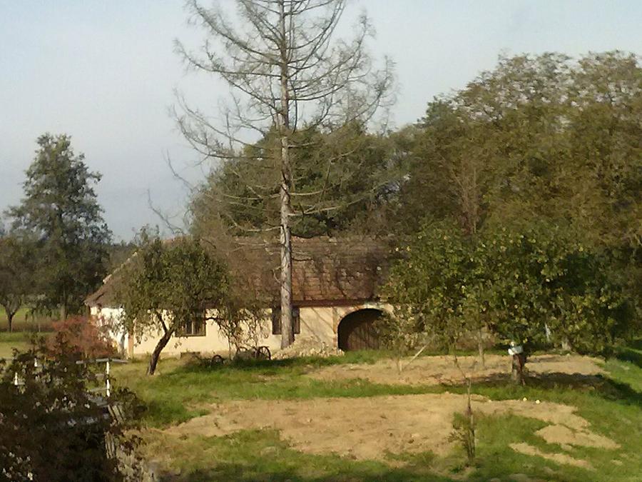 Bauernhaus in Grafenschachen