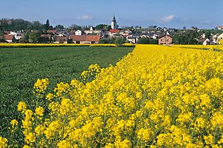 Neusiedl am See