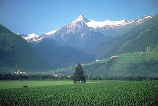 Kitztsteinhorn