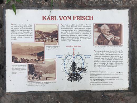 Brunnwinkl - Karl von Frisch-Gedenktafel