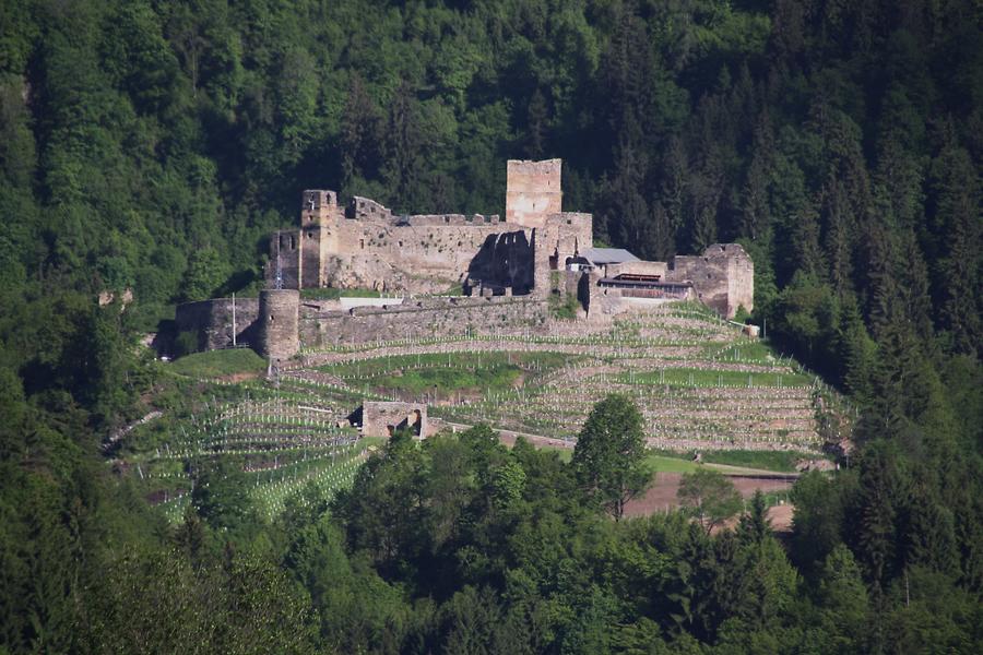 Burg mit Weingarten