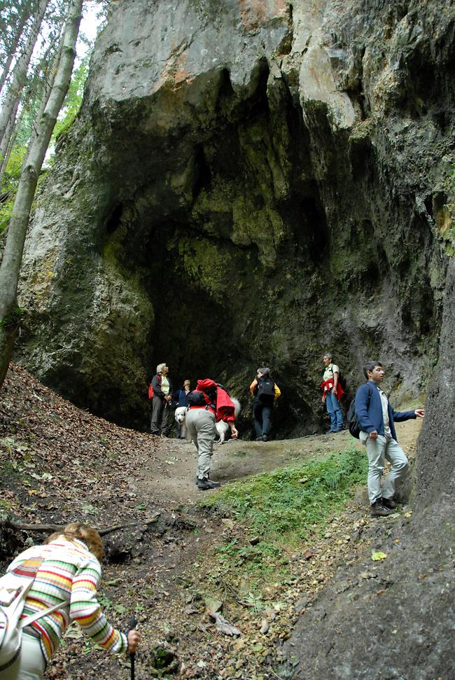 Saligenwanderung