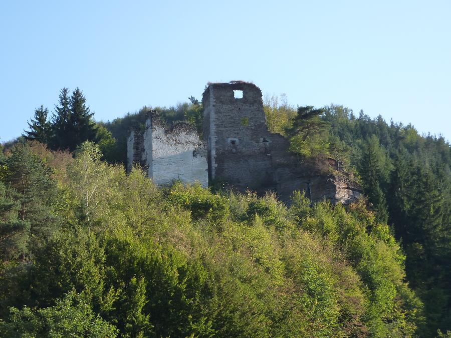 Burgruine Hohenstein - Gföhl