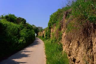 Königsberghohlweg