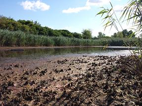 Naturschutzgebiet