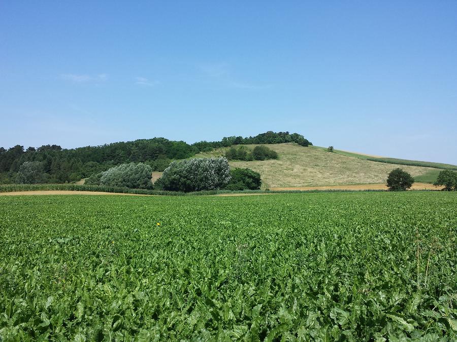 Großrußbach - Waldberg