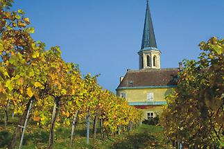 Gumpoldskirchen, Weingärten