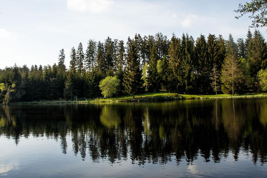 !Gutenbrunn - Hanslteich