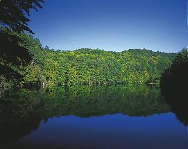 Teich bei Hardegg (Nationalpark Thayatal)