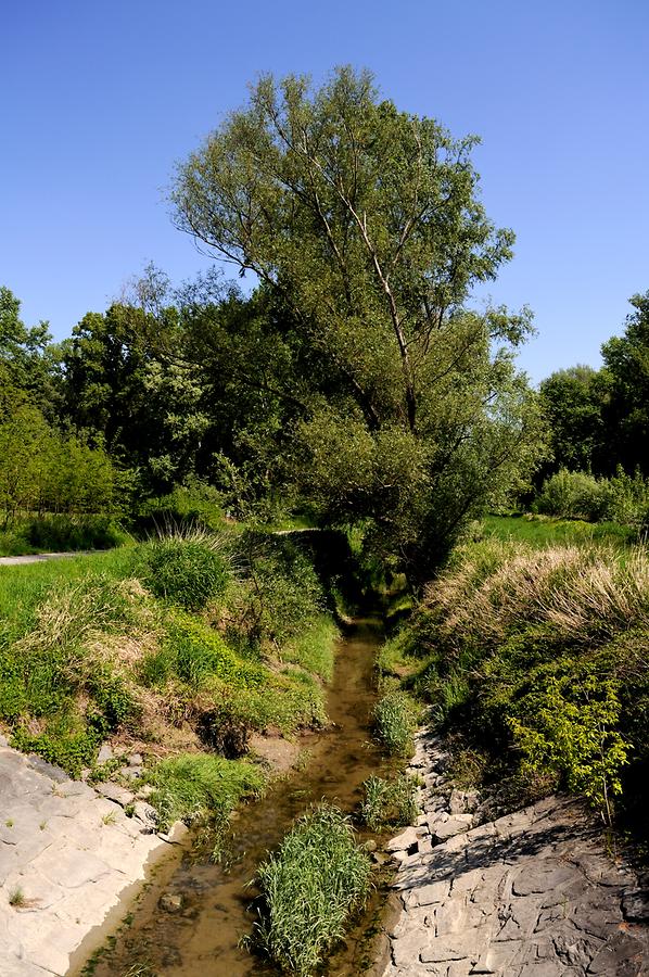 Harmannsdorf - Donaugraben bei Korneuburg