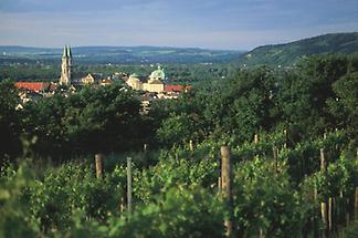 Blick auf Klosterneuburg, Weingärten