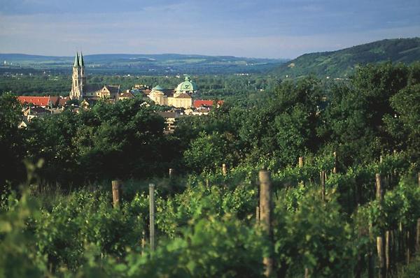 Blick auf Klosterneuburg, Weingärten