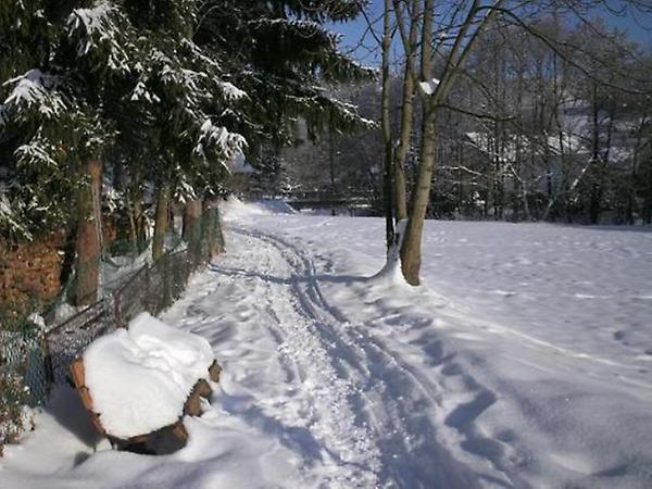 Steg_bei_Fuehrer_im_Winter_von_Ferdi_01.jpg