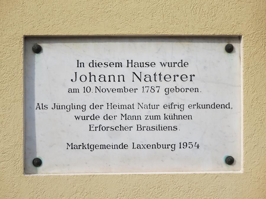 Johann Natterer-Gedenktafel
