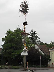 Maibaum