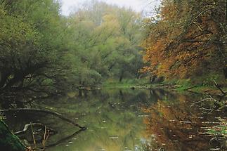 March- Auen bei Marchegg, Nationalpark Donau Auen