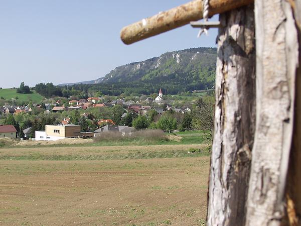 Dreistetten Ortsansicht gegen Hohe WAnd.jpg