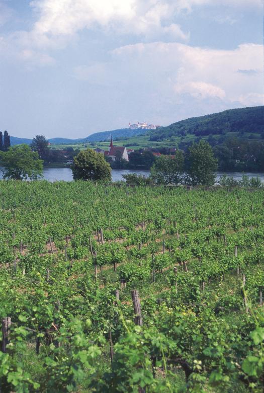 Blick auf Mautern und Stift Göttweig