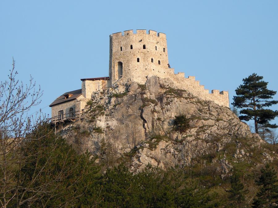 Puchberg am Schneeberg - Burgruine Losenheim