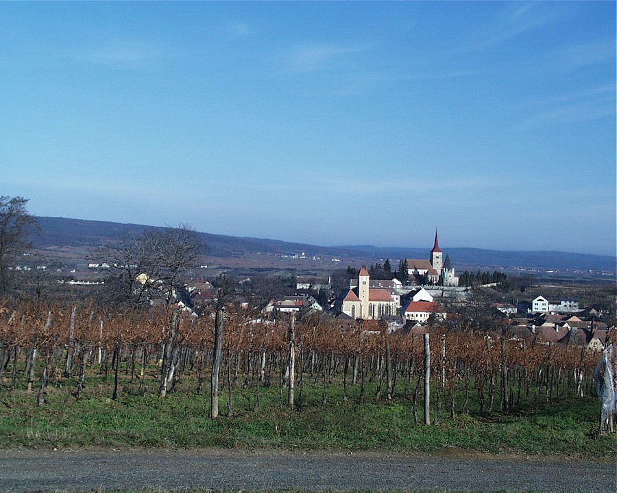 Pulkau eingebettet zwischen Wein und Wald