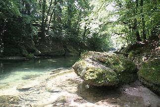 Wasserplatz Erlaufschlucht