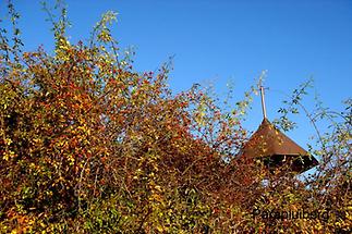 Reichersdorf Herbst