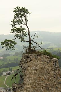 Burgruine