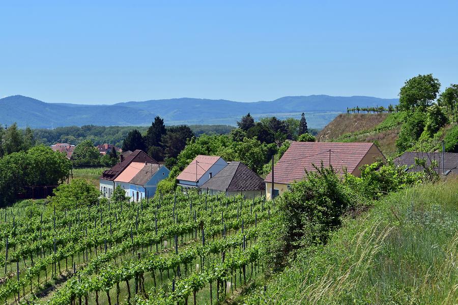 Rohrendorf bei Krems - Kellergasse Lindobelgasse