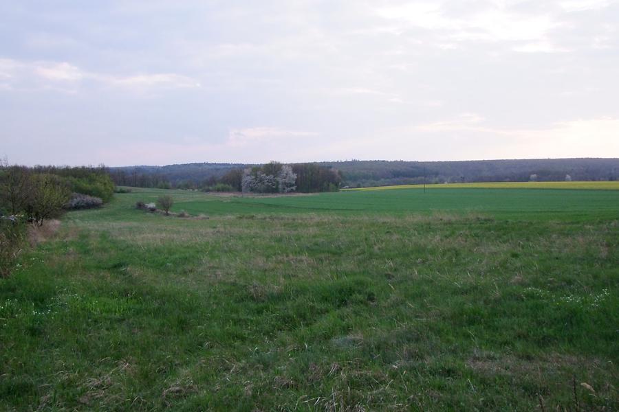 Hügelgräberfeld Therasburger Wald