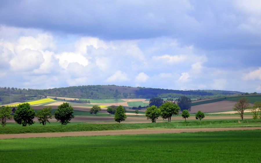 Stetten - Rohrwald