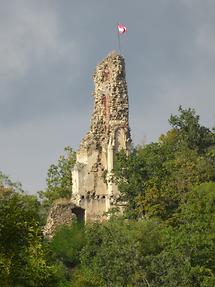 Burgruine Falkenberg