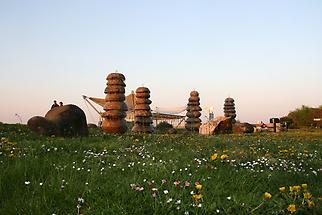 Blumenwiese Donaugelände