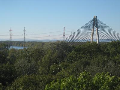 Blick vom Baumwipfelweg auf Donau und Rosenbrücke