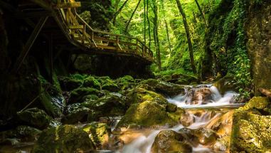 Johannesbachklamm