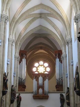 Dom, Orgel